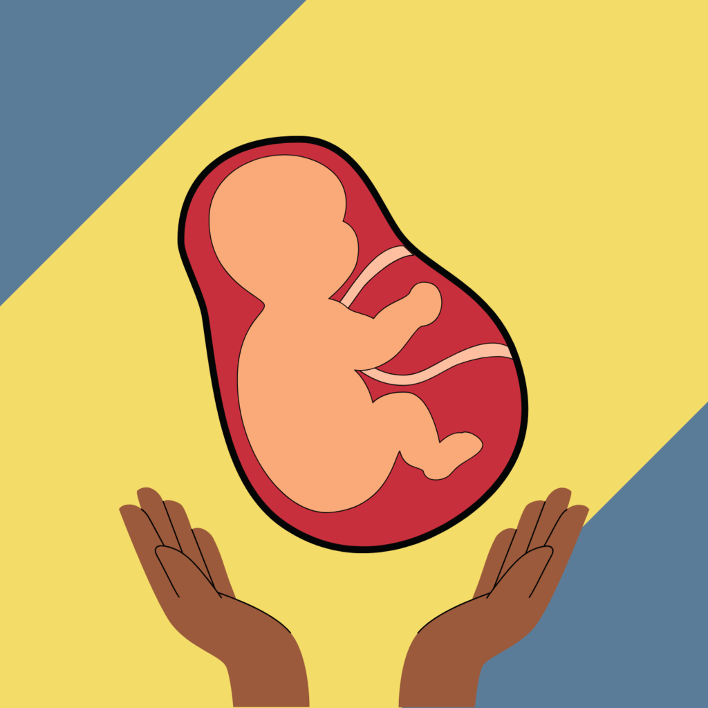 Adoption Icon